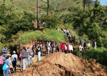 Inician trabajos de mantenimiento y reforestación en el cerro de la Cruz