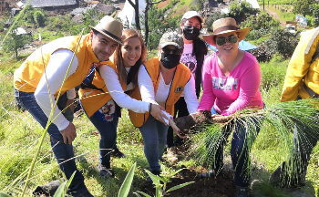 Trabajo en equipo por nuestros bosques