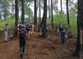 Redoblan esfuerzos para cuidar las reservas naturales