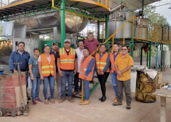 Nuevo Urecho incrementará producción de resina de pino