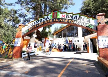 Santuarios de la Monarca contarán con el respaldo del gobierno: Bedolla