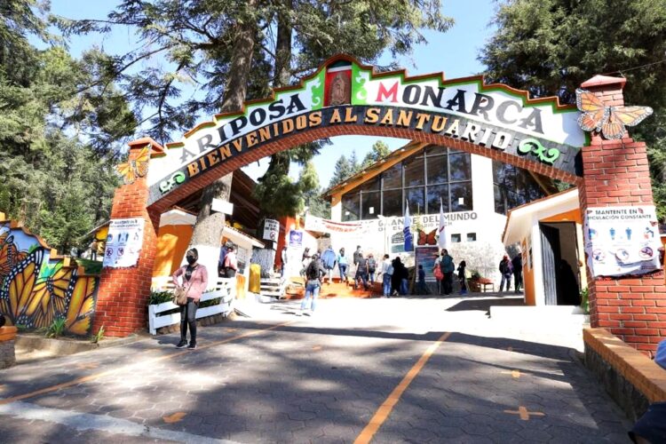 Santuarios de la Monarca contarán con el respaldo del gobierno: Bedolla