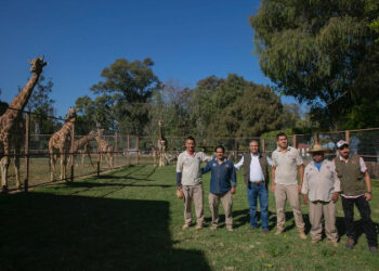 Presupuesto 2022 traerá nuevos proyectos para el Zoo