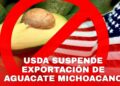 Respalda Gobierno de Michoacán a productores y empacadores exportadores de aguacate