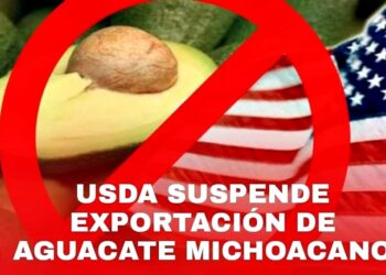 Respalda Gobierno de Michoacán a productores y empacadores exportadores de aguacate