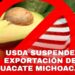 Respalda Gobierno de Michoacán a productores y empacadores exportadores de aguacate