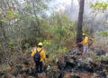 Sofocado el incendio en la zona de montaña del Parque Nacional