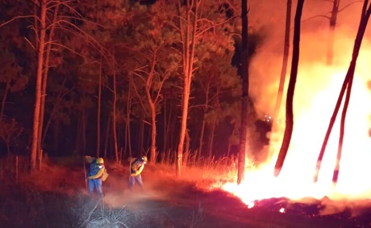 Brigadistas Forestales de Uruapan atienden otro incendio en cerro La Cruz