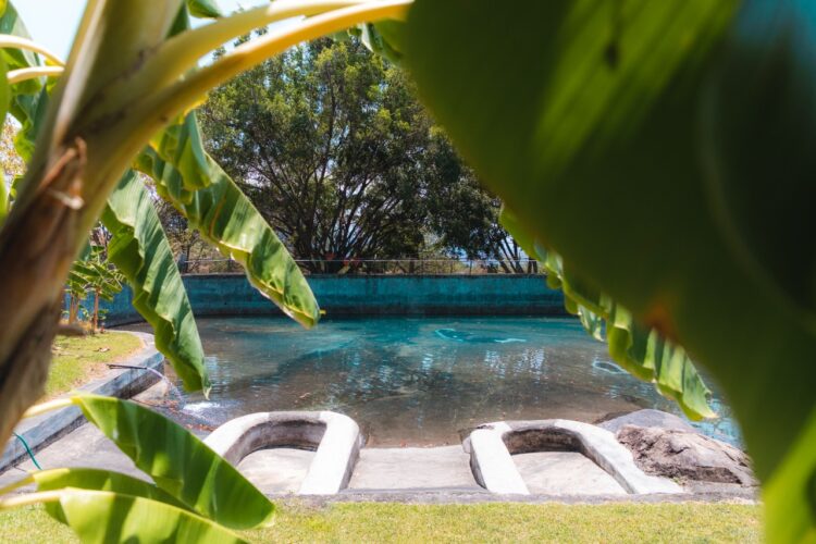 Chapoteadero, nuevo atractivo del Zoocriadero El Sabino en Uruapan