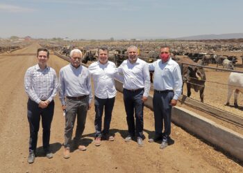 Bedolla logra que SuKarne done 20 mil toneladas de composta para abonar el agro michoacano y apoyar productores