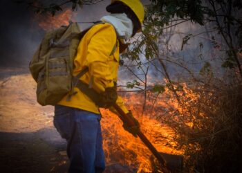 Controlan brigadistas Incendio Forestal en el cerro de La Cruz en Uruapan