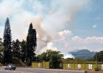 Arde pastizal en planta Pemex Uruapan