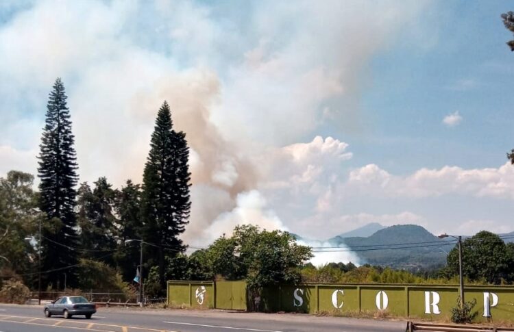 Arde pastizal en planta Pemex Uruapan