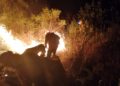 Brigadistas y voluntarios sofocan incendios forestales en la madrugada