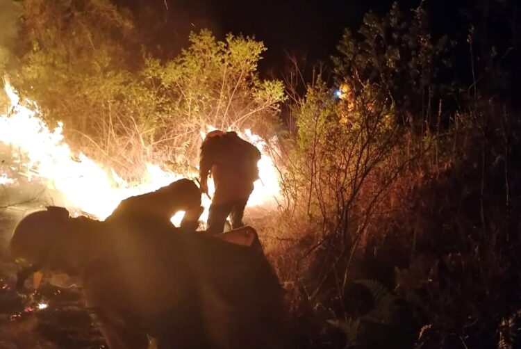 Brigadistas y voluntarios sofocan incendios forestales en la madrugada