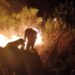 Brigadistas y voluntarios sofocan incendios forestales en la madrugada