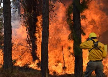 Gobiernos y ciudadanos suman fuerzas y controlan incendio forestal en Uruapan