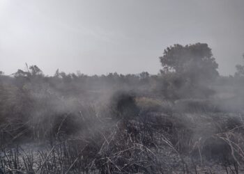 Incendio afectó 30 hectáreas de terreno de pastizal en el aeropuerto de Uruapan