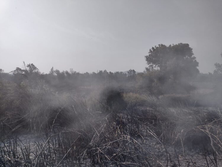 Incendio afectó 30 hectáreas de terreno de pastizal en el aeropuerto de Uruapan