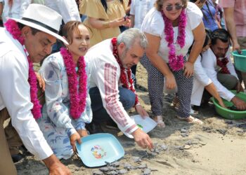 Bedolla Ramírez: Gobierno de Michoacán apoyará a los campamentos tortugueros