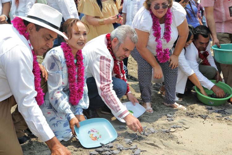 Bedolla Ramírez: Gobierno de Michoacán apoyará a los campamentos tortugueros