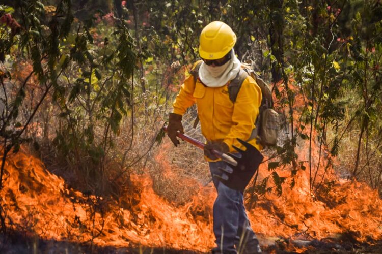 Brigada Delfines atendió 64 emergencias forestales en Uruapan durante el estiaje