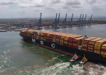 Regresa a L.C. el gigante; único puerto en el Pacífico mexicano que puede recibirlo