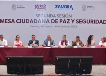 En Zamora se redujeron 52.8 por ciento los homicidios dolosos: Ramírez Bedolla