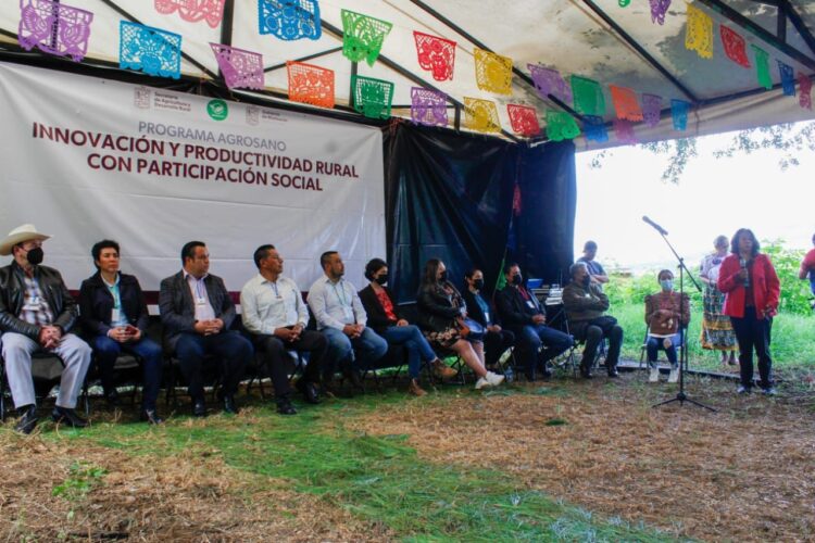 Inaugura Pátzcuaro Primer Intercambio de Experiencias Producción Hongo Seta