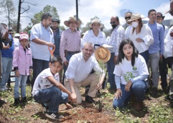 Con la nueva gobernanza territorial y del paisaje, habrá un Michoacán con medio ambiente más sano: A. Ramírez Bedolla