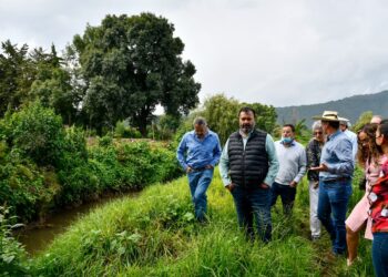 Sumamos esfuerzos para recuperar el Lago de Pátzcuaro: Alcalde Julio Arreola