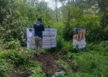 En cateo, Fiscalía asegura predio por delitos contra el medio ambiente
