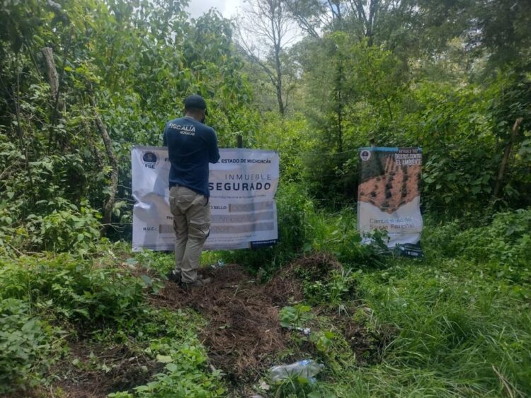 En cateo, Fiscalía asegura predio por delitos contra el medio ambiente