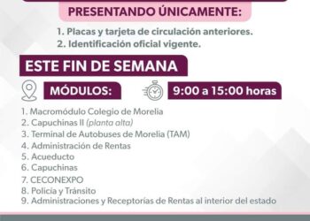 Este fin de semana se abrirán módulos para tramitar placas en Michoacán: SFA