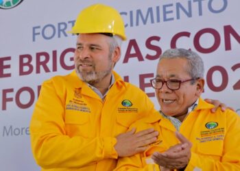 Michoacán ya no es un estado con gran daño forestal por incendios: R. Bedolla