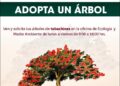 ¿Ya adoptaste tu arbolito de tabachín?