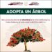 ¿Ya adoptaste tu arbolito de tabachín?