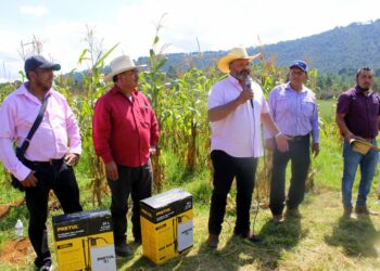 Va Gobierno de Pátzcuaro a producción agrícola y orgánica en el municipio
