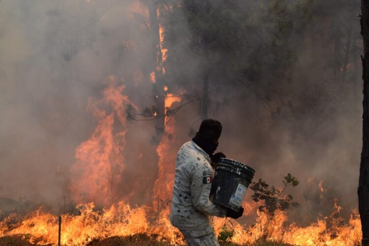 Anuncia Bedolla aumento al presupuesto para combatir los incendios forestales