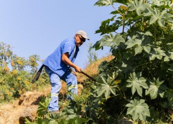 Rehabilitará el Ayuntamiento de Uruapan los espacios públicos: Gerardo Mendoza
