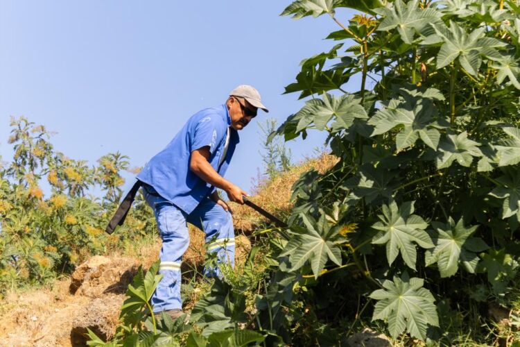 Rehabilitará el Ayuntamiento de Uruapan los espacios públicos: Gerardo Mendoza