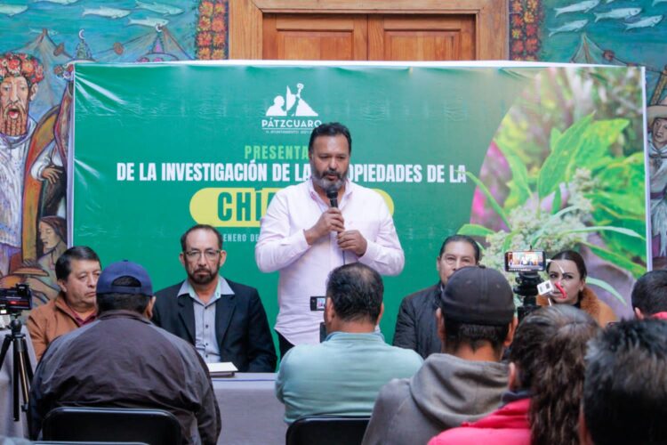 Promueve  Ayuntamiento de Pátzcuaro el rescate de la chía roja; apoyará economía