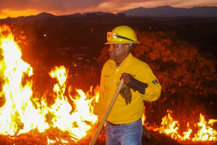 Realizan quema controlada de pastizal en el cerro de Jicalán, al sur de Uruapan