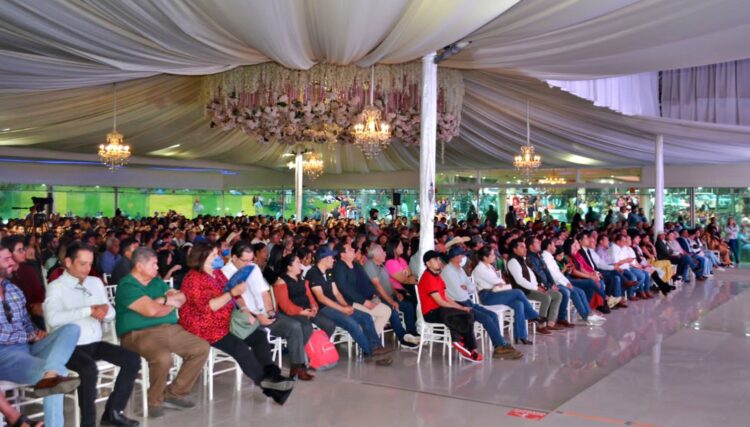 ¡¡ Es Claudia: Nacho Campos !!