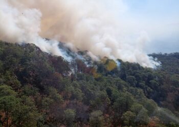 Controlado al 70% el incendio forestal en Cotija: Comisión Forestal de Michoacán