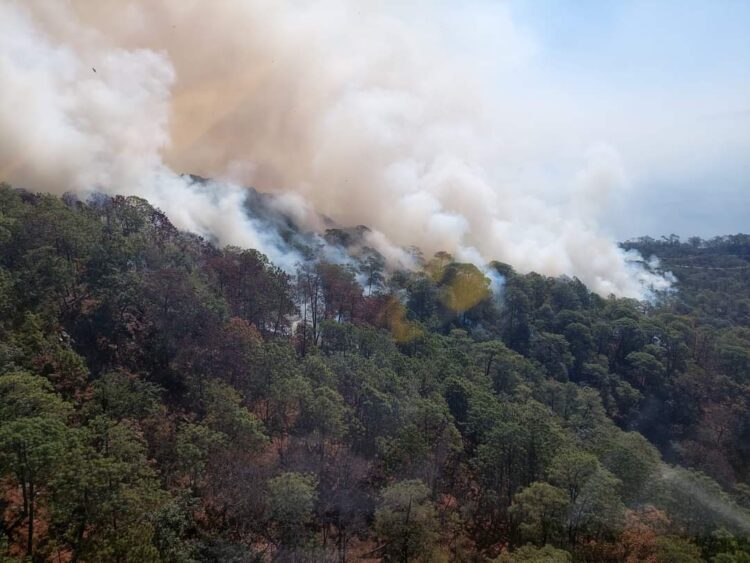 Controlado al 70% el incendio forestal en Cotija: Comisión Forestal de Michoacán