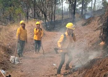 Despliegan helicóptero para sofocar nuevo incendio forestal en Ziracuaretiro