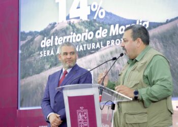 Michoacán usa tecnología satelital para denunciar el cambio de uso del suelo