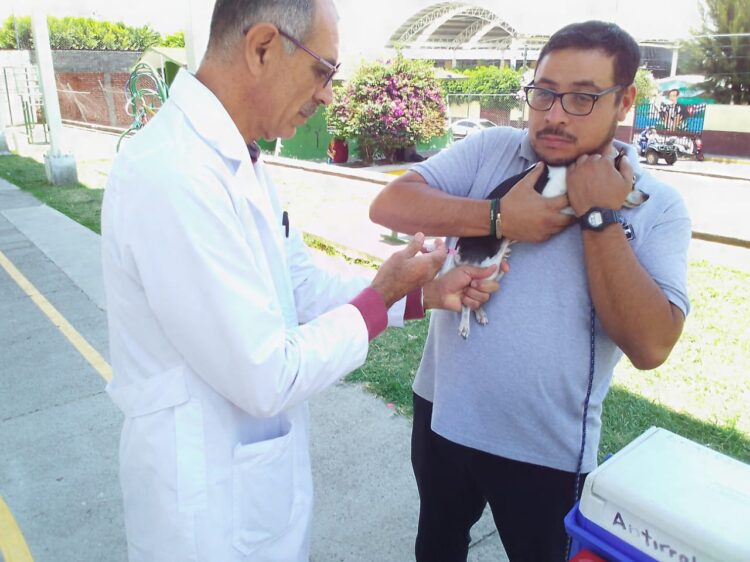 Este viernes, vacuna antirrábica canina y felina, gratuita, en Granjas de Bellavista