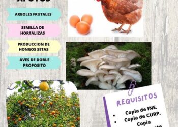 Propone el Gobierno de Tingambato producir alimentos para autoconsumo